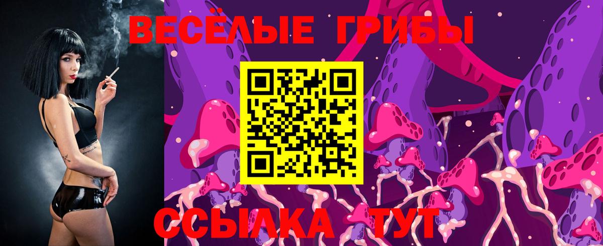 Волоколамск  Псилоцибиновые грибы Psilocybe  продажа наркотиков  Вход с VPN 